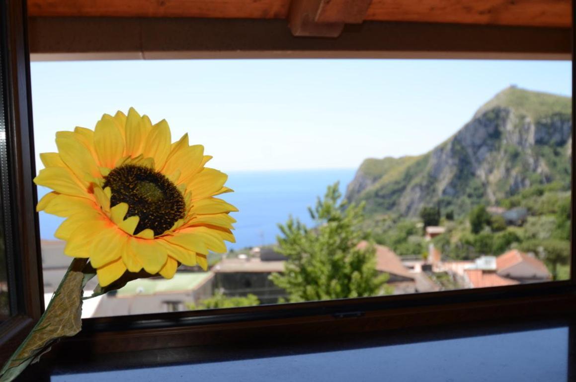 Casa Vacanza Villa Girasole Massa Lubrense Εξωτερικό φωτογραφία